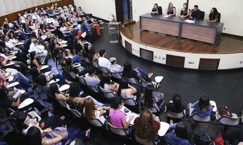 Foto: Faiara Assis