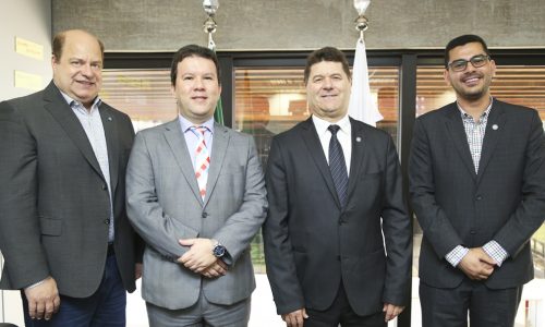 Foto: Faiara Assis