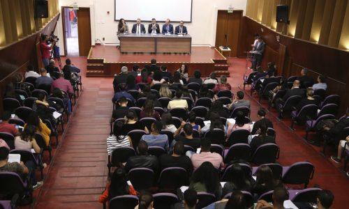 Foto: Faiara Assis