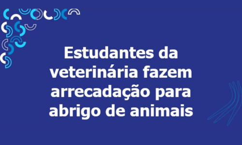 abrigo-animais