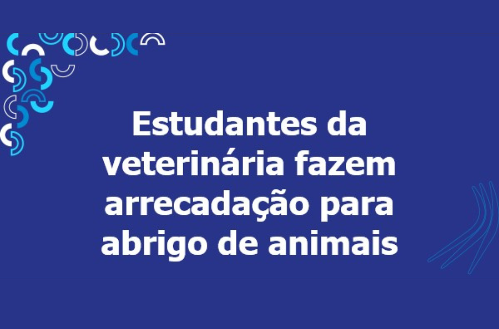 abrigo-animais